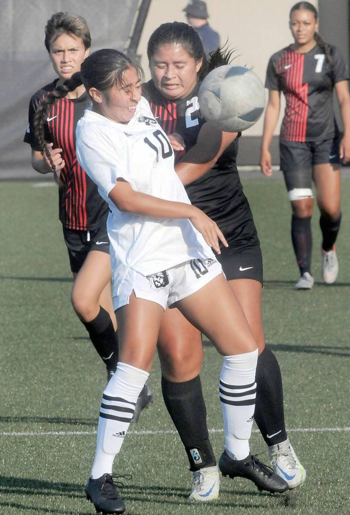 Peninsulas Maylin Rivera, front, battles for control with Everetts Lucy Soriano-Sanchez as fellow Trojans Shaelyn Gerrodette, left, and Taejah Hardeman watch from the backfield on Saturday in Port Angeles. (Keith Thorpe/Peninsula Daily News)