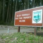 Washington State Parks look to create a master plan for development of Miller Peninsula as the next "destination" state park. Michael Dashiell/Olympic Peninsula News Group