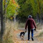 A woman and her dog stroll along a leaf-lined path at Kai Tai Lagoon in Port Townsend. Fall temperatures this week are expected to be in the mid to upper 50s with rain and wind likely in the forecast. (Steve Mullensky/for Peninsula Daily News)
