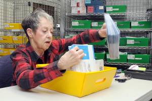 Election worker Phyllis Lawyer of Sequim sorts ballots on Tuesday at the Clallam County Courthouse in Port Angeles. (Keith Thorpe/Peninsula Daily News)
