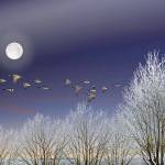 Frosty Flight by Larry Davidson is in the Port Ludlow Art Leagues Holiday Gatherings exhibit at the Bay Club.