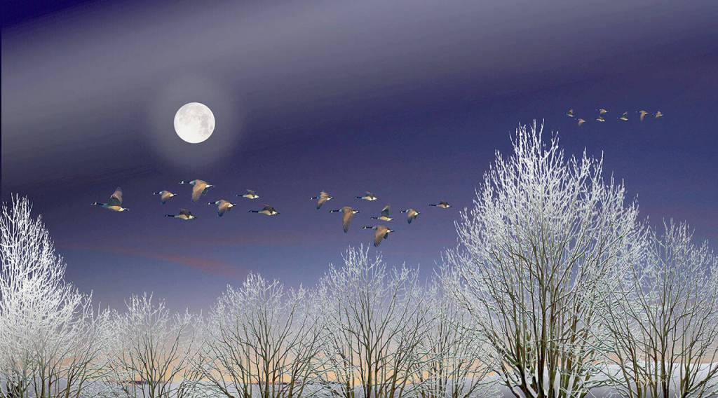 Frosty Flight by Larry Davidson is in the Port Ludlow Art Leagues Holiday Gatherings exhibit at the Bay Club.