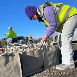 Megan Caldwell returns to Carrie Blake Community Park to work with her dad Bert to help place meal bags in vehicles during the Family Holiday Food Bag Distribution Day. (Matthew Nash/Olympic Peninsula News Group)