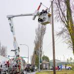 Joe Suter and Dave Smith, employees of Palouse Power, which contracts for additional services to Jefferson County Public Utility District, have snow flurries fall on them as they work to lift a communications cable, owned by Lumen, that was torn down Sunday morning by a boat on a trailer that snagged the cable at the entrance as it entered the boat yard, workers said. The PUD secured the cable as a public service so the entrance could be opened for business on Monday. (Steve Mullensky/for Peninsula Daily News)