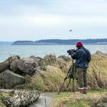 Steve Hampton of Port Townsend searches for birds in the Salish Sea at Point Wilson Lighthouse on Wednesday. I just got here and the wind and choppy water dont make for ideal conditions, but so far Ive seen rhinoceros auklets and a Pacific loon, Hampton said. (Steve Mullensky/for Peninsula Daily News)