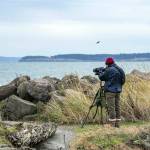 Steve Hampton of Port Townsend searches for birds in the Salish Sea at Point Wilson Lighthouse on Wednesday. I just got here and the wind and choppy water dont make for ideal conditions, but so far Ive seen rhinoceros auklets and a Pacific loon, Hampton said. (Steve Mullensky/for Peninsula Daily News)