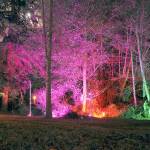 KEITH THORPE/PENINSULA DAILY NEWS
Floodlit trees and illuminated sculptures circle the meadow in Webster's Woods Sculpture Park at the Port Angeles Fine Arts Center as part of the center's seasonal Wintertide celebration.