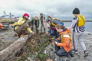 Steve Mullensky/for Peninsula Daily News

Sean Bunting, red hat, and David Molotsky, blue hat, both teachers in the Ocean K-12 program, a partnership program between the Northwest Maritime Center and the Port Townsend School District, instructs the Bravo Team class in the benefits of eel grass during a session at the beach on eh Port Townsend Boat Haven on Thursday. The team would normally be out in a long boat but had to stay ashore because of small craft warnings.