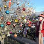 Marie Cauvel adds ornaments to a tree along the sidewalk in front of her house in the 600 block of South Cedar Street in Port Angeles. The tree was one of a pair next to the street that received holiday adornment by Cauvel, who said she was taking advantage of a sunny day to accomplish the task. (Keith Thorpe/Peninsula Daily News)