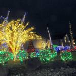 Decorated trees and bushes light up the night on the grounds of 7 Cedars Casino in Blyn. (Keith Thorpe/Peninsula Daily News)