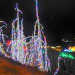 Trees wrapped with strings of light on the south campus of the Jamestown SKlallam tribal center make up part of a display of nearly 3.5 million lights spread out over tribal properties in Blyn. The holiday lights, the most stunning display on the North Olympic Peninsula, generally stay up shinning brightly through the first week of January. (Keith Thorpe/Peninsula Daily News)