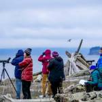 A group of Admiralty Audubon members look out over the Strait of Juan de Fuca to count birds for the annual Audubon Christmas Bird Count. (Steve Mullensky/for Peninsula Daily News)