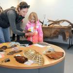 Rebecca Burdick of Novato, Calif., examines a display of bird wings with her daughter, Ava Burdick, 5, at the Dungeness Nature Center at Railroad Bridge Park in Sequim. The newly opened nature center has moved its bird displays from the former Dungeness River Audubon Center on the same site and has plans for additional educational displays to teach about the flora and fauna of the Dungeness Valley. (Keith Thorpe/Peninsula Daily News)