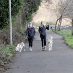 Emily Kauffman of Port Angeles, left, and her dog, Dezzy, and Emily Jorgenson of Austin, Minn., with her dog, Lexi, take a stroll on the Waterfront Trail east of downtown Port Angeles. The pair and their pets were taking advantage of a dry winter day on the North Olympic Peninsula. (Keith Thorpe/Peninsula Daily News)