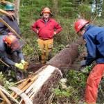 Photo by Donna Hollatz

Cutline: After Robin Hall County Park closed due to a Nov. windstorm which fell a large amount of big trees — causing a dangerous situation to the public — BCH Peninsula Chapter member Tom Mix, left in green hat, led a Sawyer Training and Certification Day at the park. Here, members are taught techniques for using a cross-cut saw. Training also included using a chainsaw.