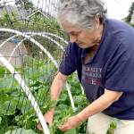 Muriel Nesbitt will present How Climate Change is Robbing You (and Your Garden) of Nutrients from 10 a.m. to noon Saturday.