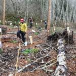 Northwest Watershed Institute Volunteer crew leader David Dunn and daughter, Willow, plant trees and secure tree protectors in a recent event.