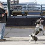 Keith Thorpe/Peninsula Daily News
Chris Paulsen of Port Angeles watches as his dog, Loki, chases after soap bubbles on Tuesday at Port Angeles City Pier. Paulsen said that popping bubbles was the canine's favorite form of recreation.