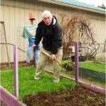 Photo courtesy of Bob Cain
Whats a cover crop and how can it help your garden grow with added nitrogen? Join Clallam County Master Gardener Bob Cain for the Green Thumb Education Series presentation, Nitrogen in the Garden, and discover how to get more of this vital nutrient into your garden, from noon to 1 p.m. on Thursday in the county commissioners room in the Clallam County Courthouse, 223 E. Fourth St., Port Angeles.