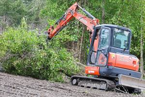 NW Landworks personnel removed large areas of invasive plants in Fort Worden. (Friends of Fort Worden)