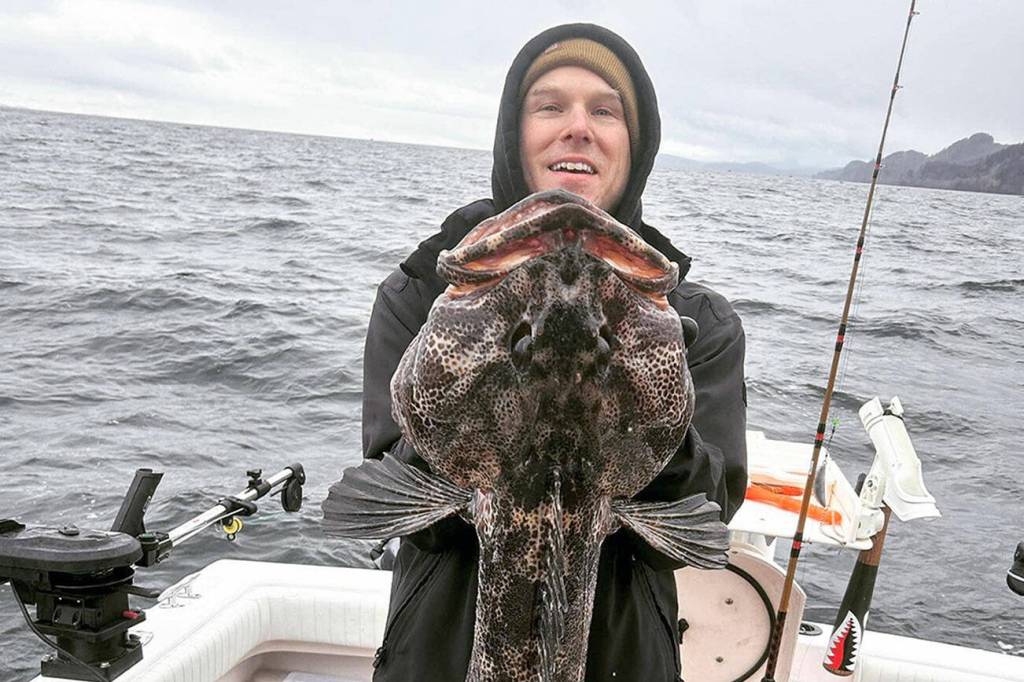 Angler Joseph Ebsworth landed this good-sized lingcod while fishing out of Neah Bay on the lingcod and bottomfish opener last Saturday.