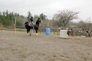 Photos by Karen Griffiths

Cutline:

Peninsula Junior Rodeo competitors Lillian Bond and Jasper practice Breakaway Roping (meaning she releases the rope after she throws the loop around the steer’s head instead it staying attached to her saddle horn and backing up to keep a tight connection between horse and steer)) using a “dummy” steer pulled by a Quad driven by her mom Jennifer Bond.