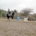 Peninsula Junior Rodeo competitors Lillian Bond and Jasper practice Breakaway Roping (meaning she releases the rope after she throws the loop around the steers head instead it staying attached to her saddle horn and backing up to keep a tight connection between horse and steer) using a dummy steer pulled by a Quad driven by her mom Jennifer Bond. (Karen Griffiths/For Peninsula Daily News)