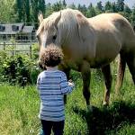 Photo by Karen Griffiths

 

Cutline: Griffiths’ horse Sunny was a beautiful and powerful barrel racer, plus all around good horse, who had a soft spot for her  grand-nephew Rory Ceballos, then 5. Sadly, after a harsh winter filled with illness she was put down last week.