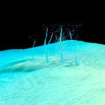 This sonar image of the Pythias Oasis site shows bubbles rising from the seafloor about two-thirds of a mile deep and 50 miles off Newport, Ore. These bubbles are a byproduct of a unique site where warm, chemically distinct fluid gushes from the seafloor. Researchers believe this fluid comes directly from the Cascadia megathrust zone, or plate boundary, and helps control stress buildup between the two plates.(Philip et al./Science Advances)