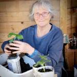 Nita Wester will present Pollinator Plantings: Perfecting the Process.