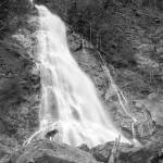 "Waterfall and Curious Dog," one of the photos in the "Wet" exhibition in Port Townsend, resulted from Alisa Steck's visit to Rocky Brook Falls in Brinnon.  photo by Alisa Steck