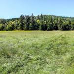 A view of Chimacum Ridge is seen from a Beaver Valley farm. (Robert Tognoli)