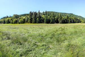 A view of Chimacum Ridge is seen from a Beaver Valley farm. (Robert Tognoli)
