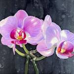 Dappled, a silk painting by Evette Allerdings of Port Angeles, is among the 40 works installed this week at Jefferson Healthcare Hospital. (Image courtesy of Northwind Art)