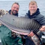 Mukilteo angler Alex Malysheff, right, caught and released this lancetfish while halibut fishing off Neah Bay. A number of lancetfish, usually a tropical species, have washed up on West Coast shores in recent weeks.