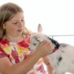 Aggy Huff of PA holds “Dallas" a Nigerian Dwarf Goat at the annual Shepherd’s Festival held at the Sequim Prairie Grange. She is inside a white tent. The festival was half inside the grange and half outside with many vendors with sheep, goats and llamas and related products. 			  Cyndie Stumbaugh who has directed the festival for years recalls that it started back in 1980 but missed the last three years because of COVID. This years revival of the festival was met with blue skies and many many visitors. Cyndie said. “It's excellent and I’m thrilled." dlogan