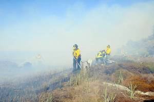 Clallam County Fire District 2 firefighters, with assistance from surrounding districts, work to extinguish fire of beach logs and grasses that scorched a stretch of beach along the Strait of Juan de Fuca at the north end of Four Seasons Ranch and threatened numerous homes on Saturday. (Keith Thorpe/Peninsula Daily News)
