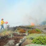 A firefighter tosses a bucket of water on a hot spot of a beach fire at the north end of Four Seasons Ranch east of Port Angeles on Saturday. (Keith Thorpe/Peninsula Daily News)
