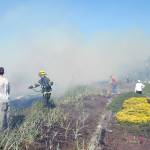 Firefighters and residents team up to beat down a beach fire that threatened numerous homes in the Four Seasons Ranch area east of Port Angeles on Saturday. (Keith Thorpe/Peninsula Daily News)