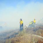 Clallam County Fire District 2 firefighters, with assistance from surrounding districts, work to extinguish fire of beach logs and grasses that scorched a stretch of beach along the Strait of Juan de Fuca at the north end of Four Seasons Ranch and threatened numerous homes on Saturday. (Keith Thorpe/Peninsula Daily News)