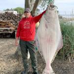 Vicki Wallner hauled in this 64-inch long halibut estimated at 134 pounds in the waters of Marine Area 5 while fishing for lingcod over Memorial Day weekend.