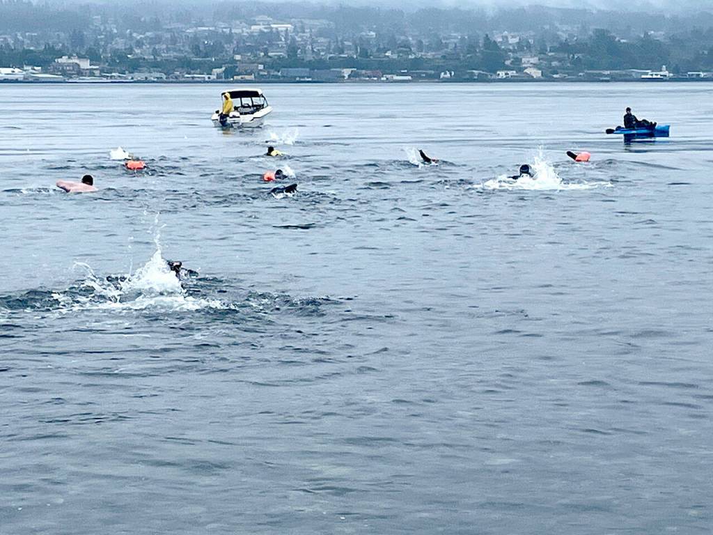 Orcas visit inaugural race in their name | Peninsula Daily News