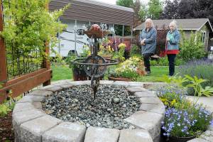 Dorothy Hoffman, left, and Anne Steurer, both of Port Townsend, examine a water feature in the backyard garden of Niki Kobes and Tom Riette in Carlsborg, one of five featured gardens during Saturdays 28th annual Petals & Pathways home garden tour. The event was hosted by the Master Gardener Foundation of Clallam County. (Keith Thorpe/Peninsula Daily News)