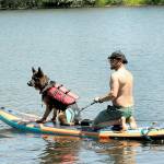 James Peters of Covington and his dog, Radar, set out on a standup paddleboard for an afternoon of fishing on Lake Pleasant near Beaver on Sunday. The pair set out with a companion from Lake Pleasant County Park. (Keith Thorpe/Peninsula Daily News)