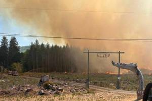 A growing brush fire has burned at least one structure and forced the cancellation of fireworks in Forks. (Clallam County Fire District 1)