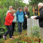 Clallam County Master Gardeners 
Bob Cain, far right, offers advice to participants at the June 10 Second Saturday Garden Walk. He will be among those teaching at the garden walk on Saturday.