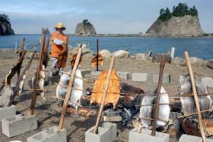Quileute Tribal member Dana Williams prepares baked salmon in the old traditional way on Saturday while the Quillayute River flows to the sea. This tradition is included in the Quileute Days celebration held each year at LaPush. (Lonnie Archibald/for Peninsula Daily News)