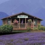 The right broker can make or break a deal, get the best on your team at John L. Scott.