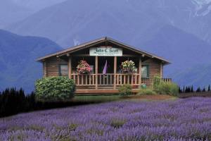 The right broker can make or break a deal, get the best on your team at John L. Scott.