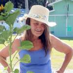Brigette Buckley of Sequim checks in her sunflowers for early judging on Wednesday at the Clallam County Fair in Port Angeles. (Keith Thorpe/Peninsula Daily news)
